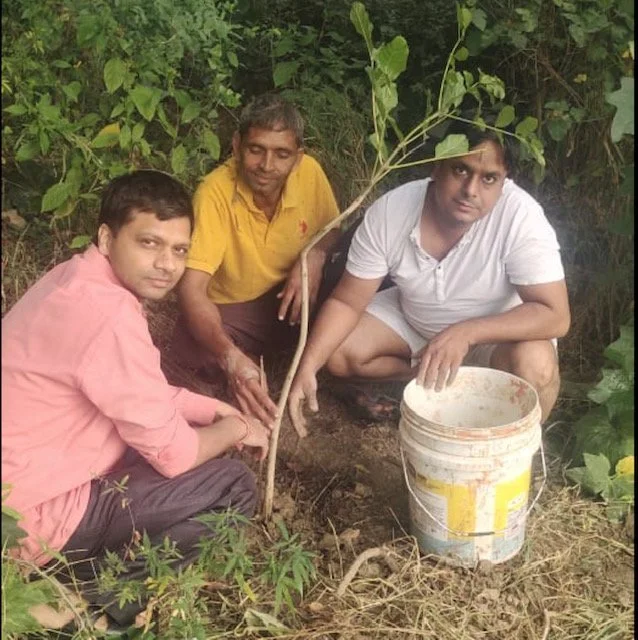 Ayurvedic 2.jpg