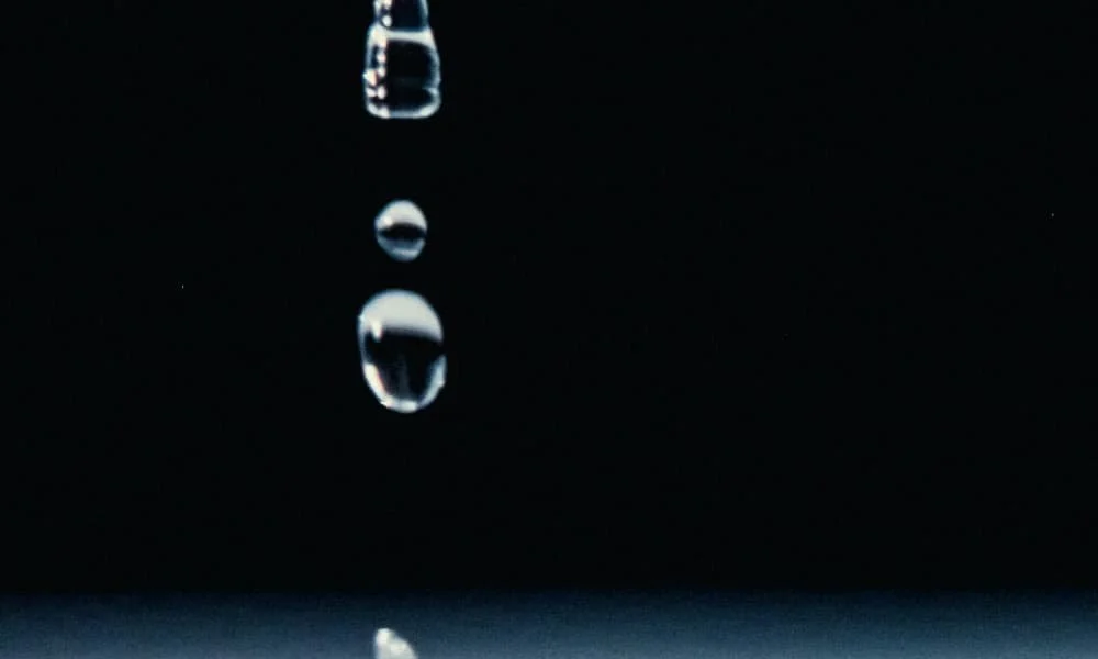 Staying Steady in Stage 1: Mindfulness and Nervous System Care for Raregivers