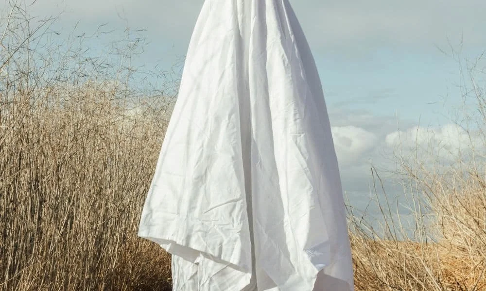 Have You Been Ghosted?