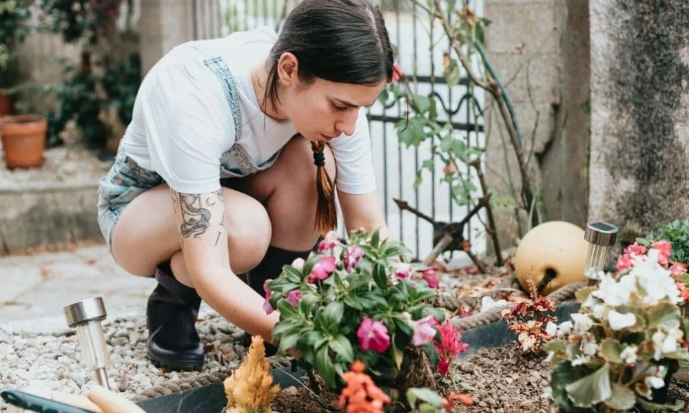 a-woman-kneeling-down-to-plant-flowers-in-a-garden