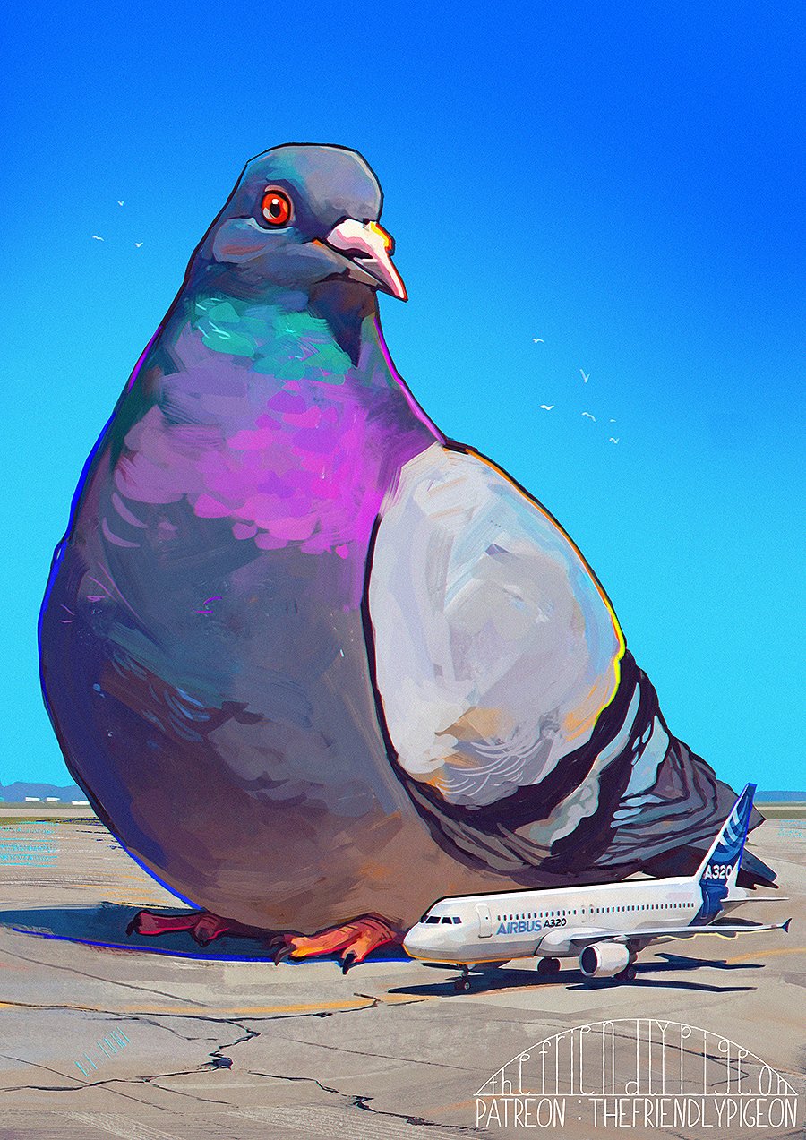 Pigeon A320
