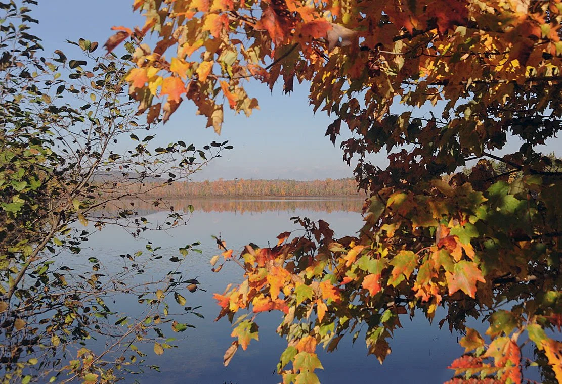 New England Fall Foliage Photography Guide: Tips for Capturing Autumn’s Colors