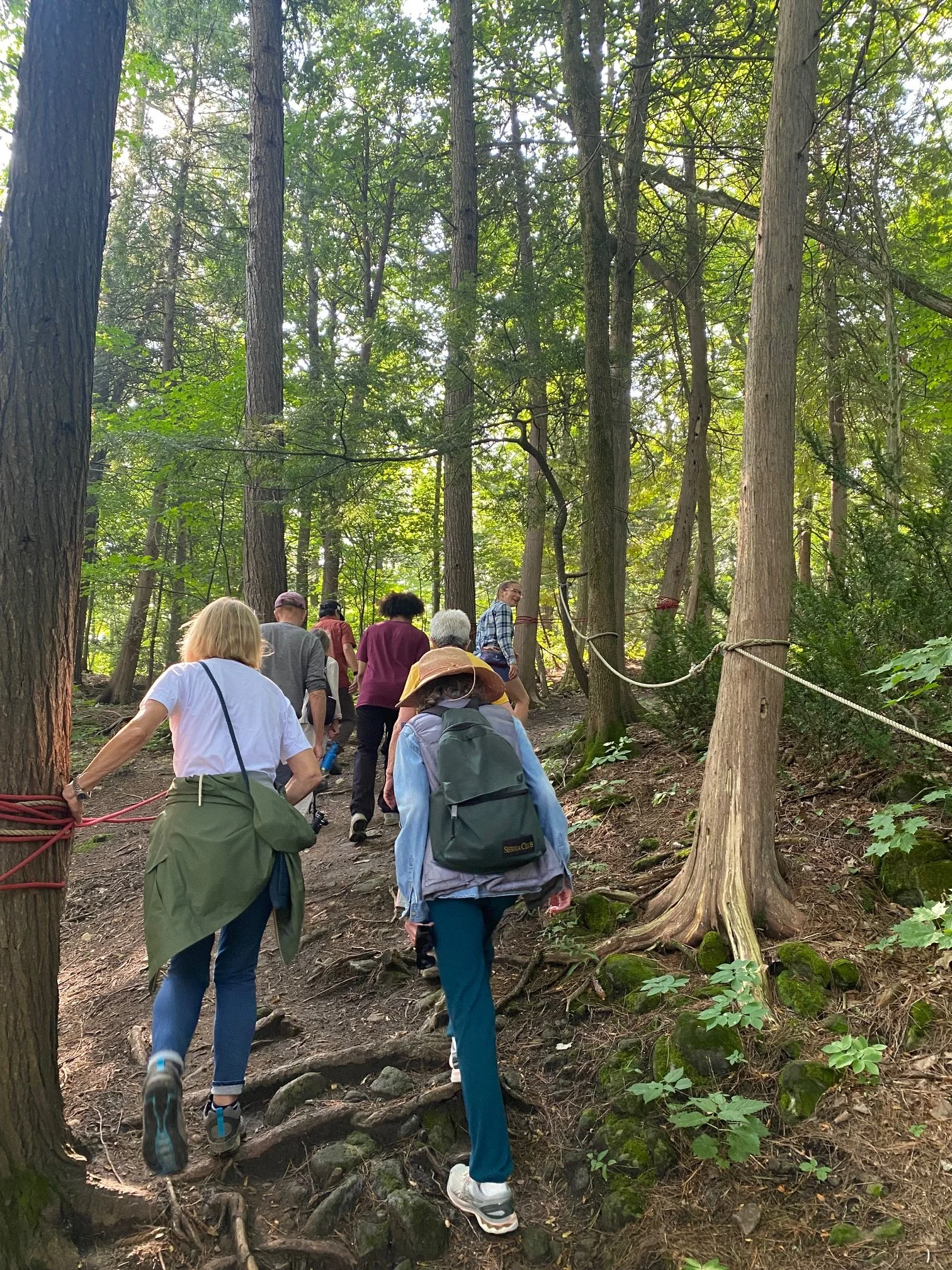 Charlotte Walks - Charlotte Park and Wildlife Refuge