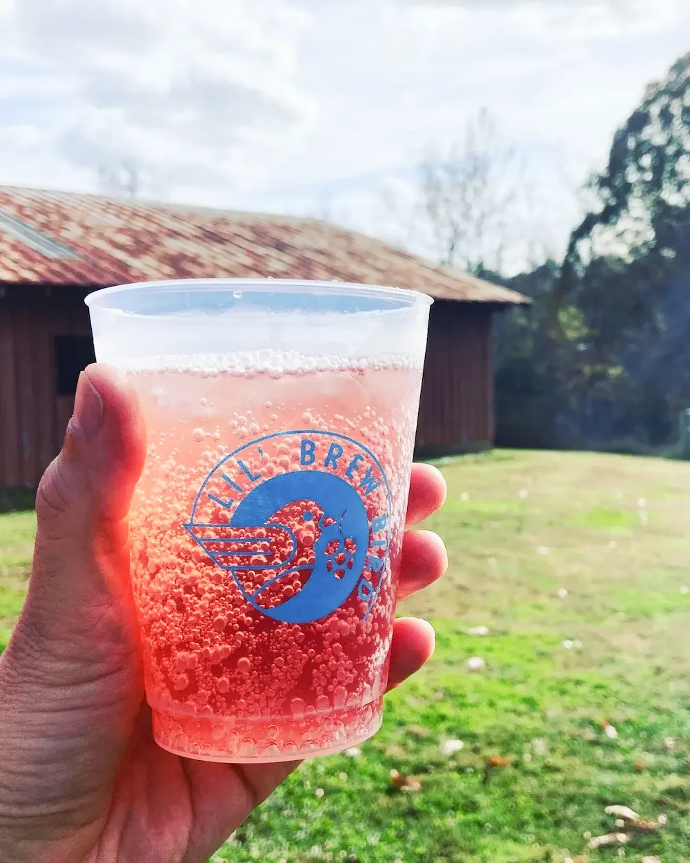 A person holding a clear plastic cup with a pink, fizzy drink, with a blue logo that reads 'Lil' Brew Bird'. In the background, there is a grassy yard, trees, and a rustic barn.
