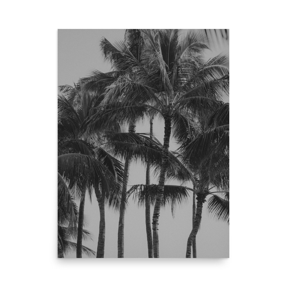 enhanced-matte-paper-poster-(in)-18x24-front-62fefd1bd62c1.jpg