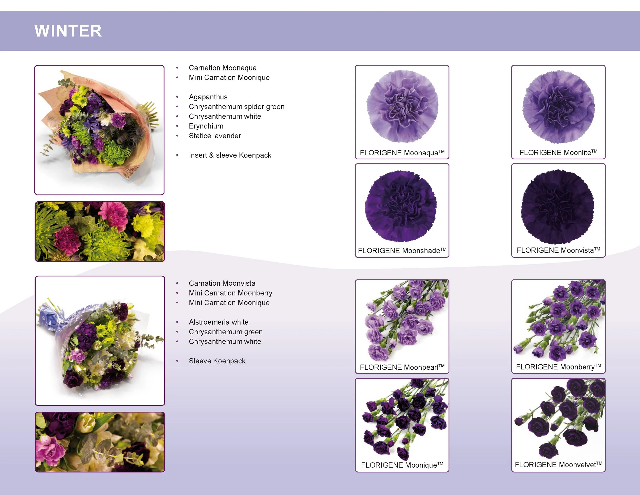 For Trade — Florigene Flowers