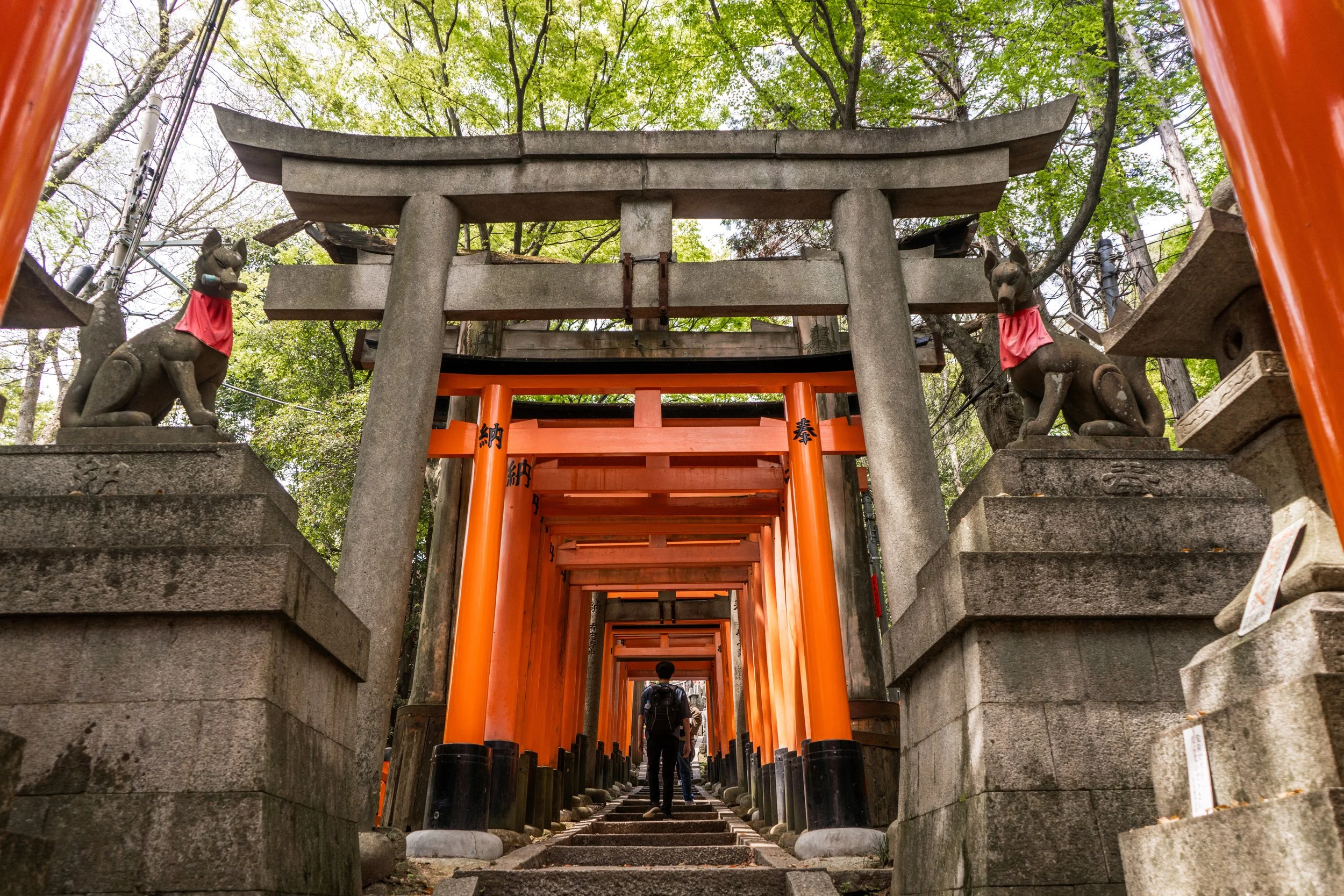https://images.squarespace-cdn.com/content/v1/62bf4e0a4460b11f3b234fce/bc136d19-0cc5-4fc5-b4d4-f25d22d40dcf/Fushimi%2BInari%2BTaisha%2BTorii%2BGates.jpg