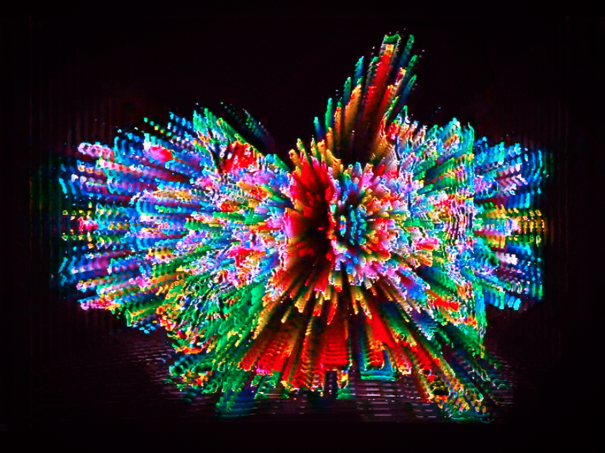 Bouquet (2023)