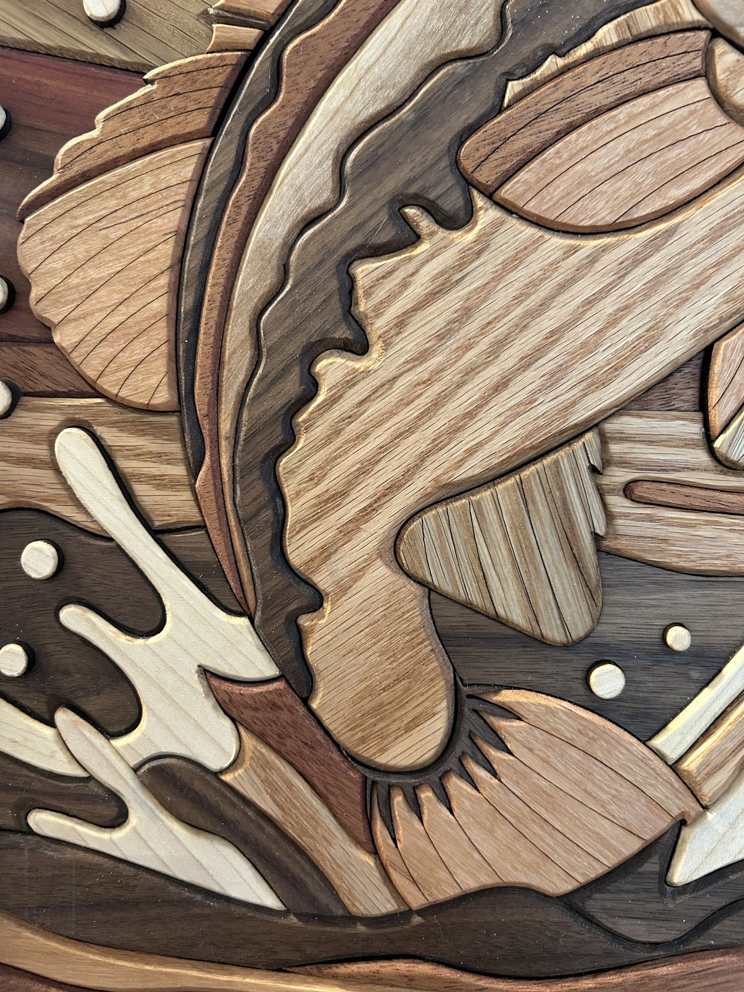 Bass SS closeup2.jpg