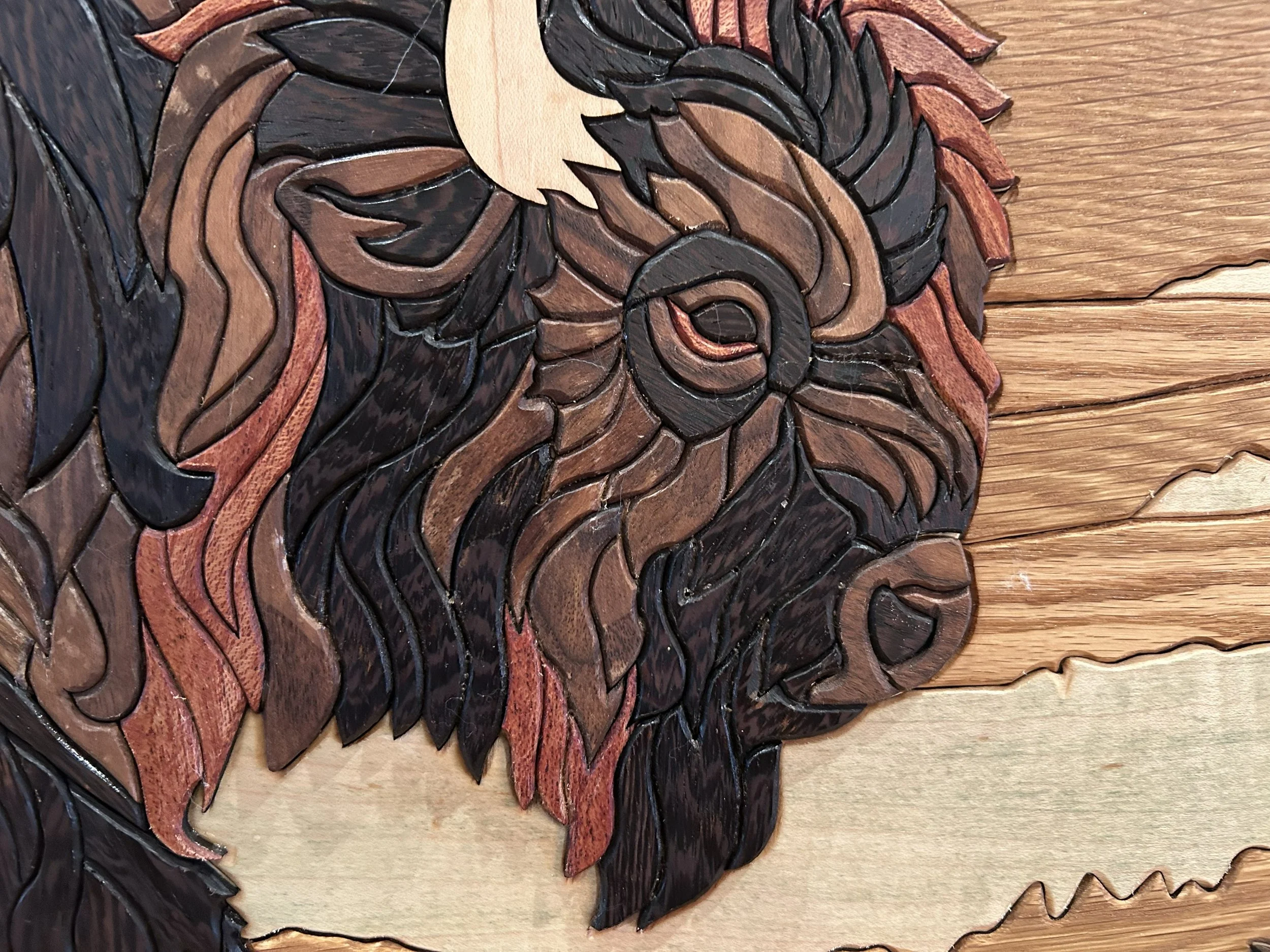 American Bison Closeup.jpg
