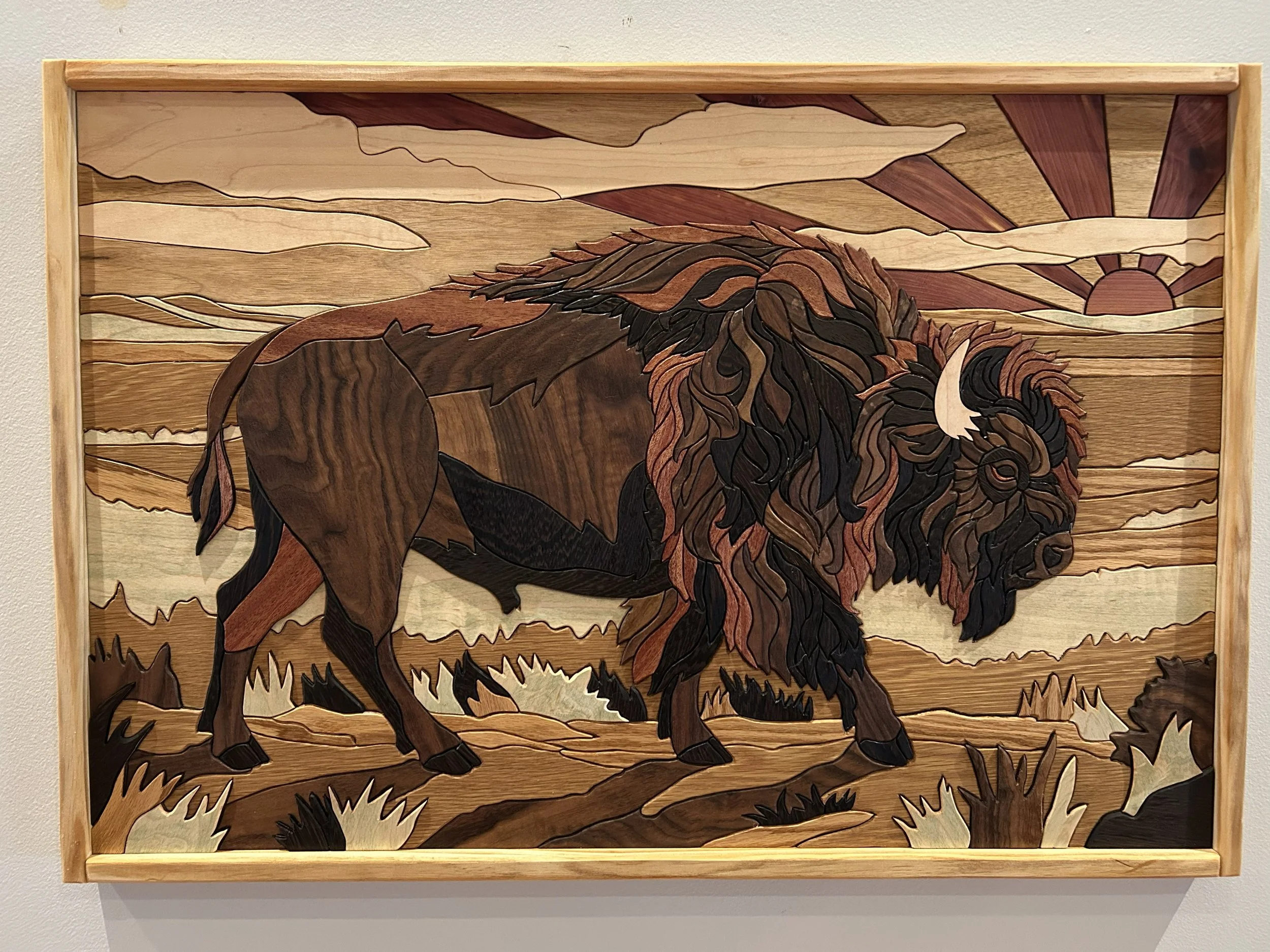 American Bison.jpg
