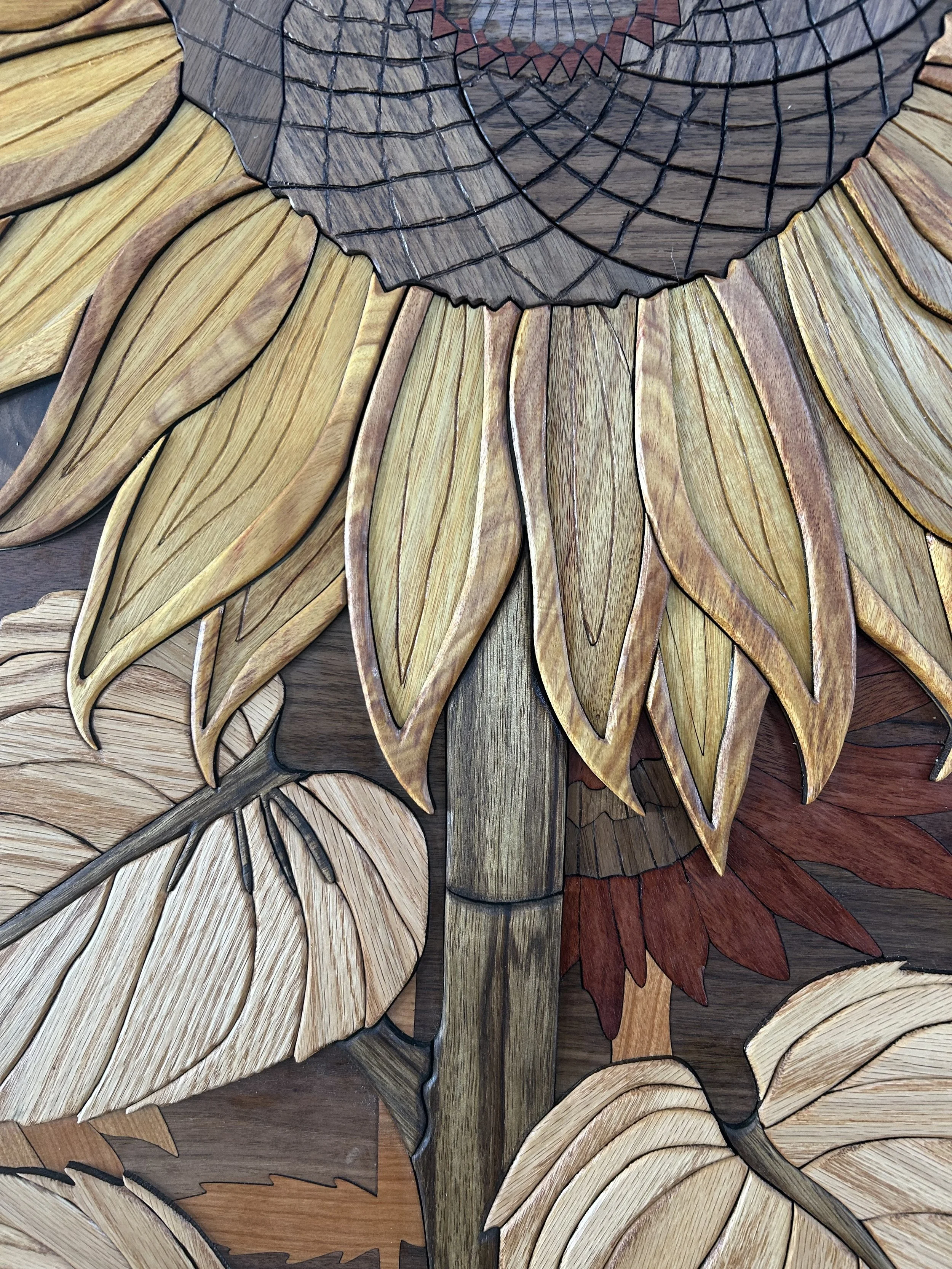 Sunflower SS closeup.jpeg