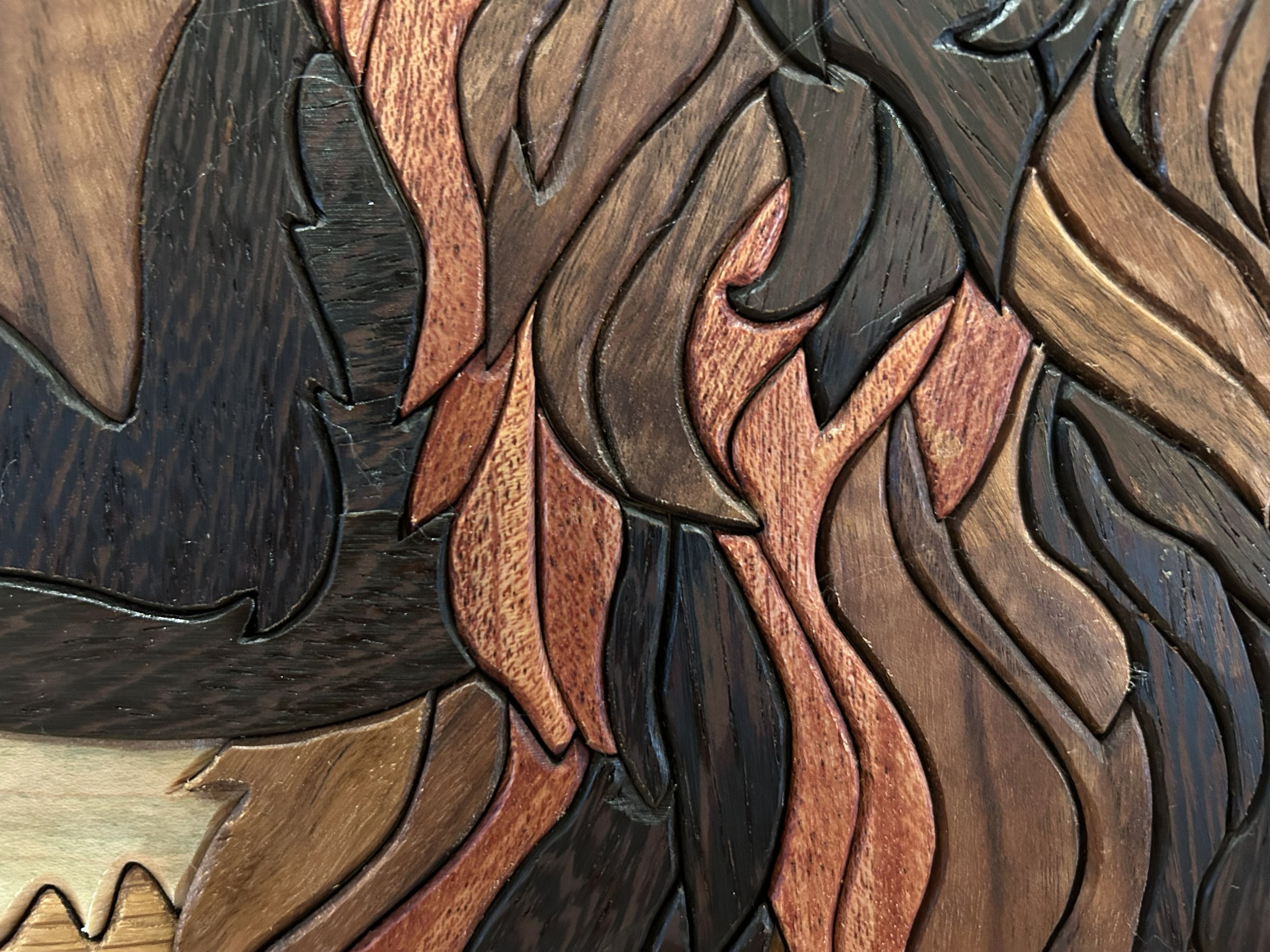 American Bison Closeup 2.jpg