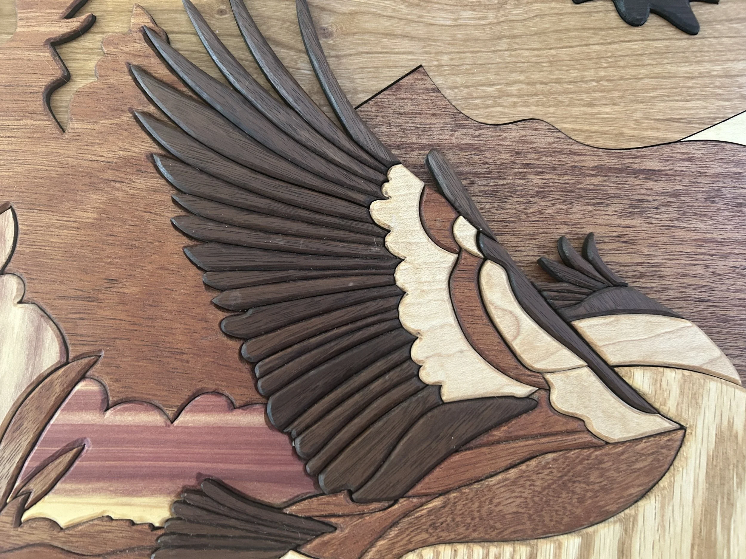 Canadian goose 4 closeup.jpg