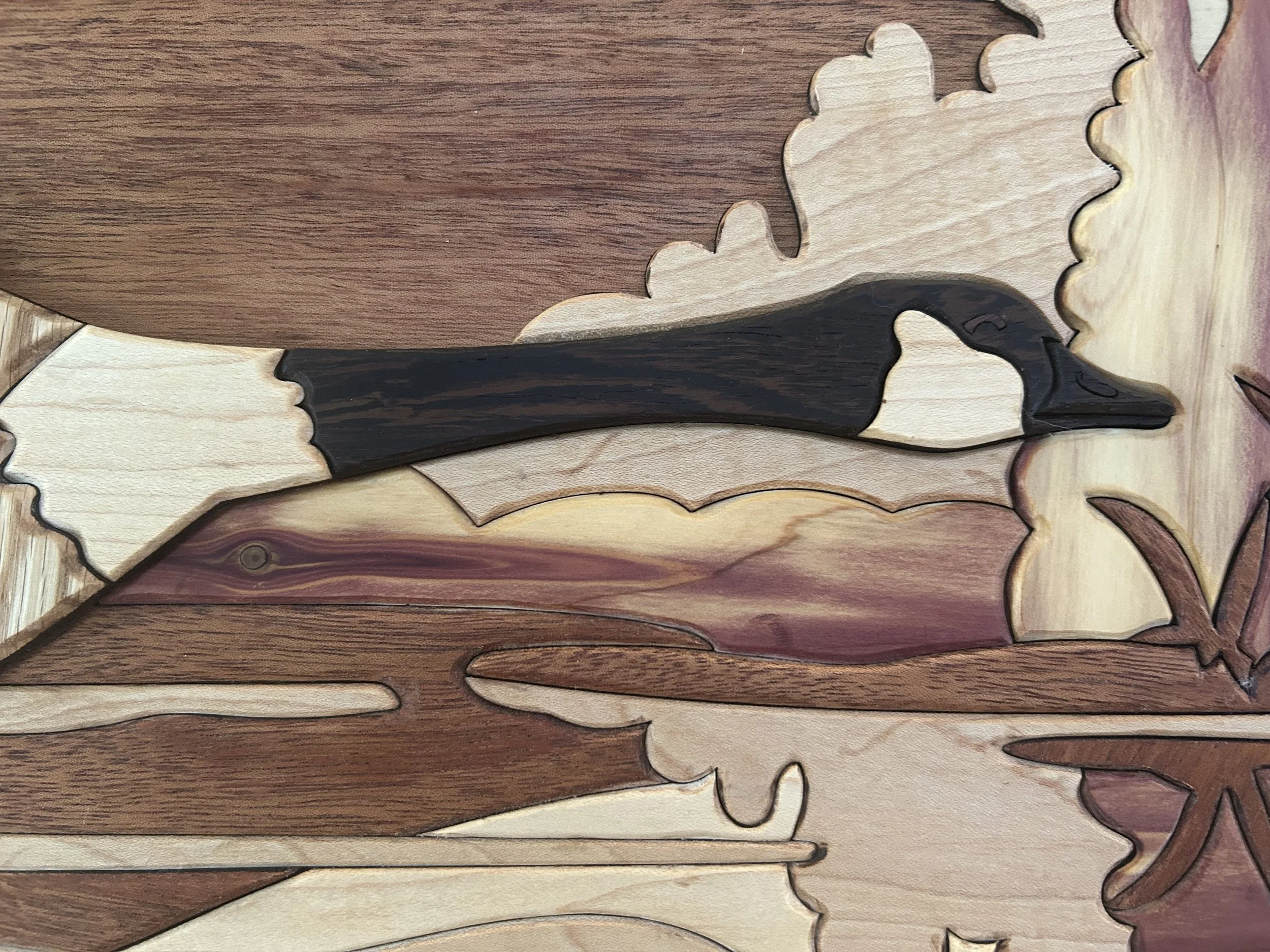 Canadian goose 3 closeup.jpg