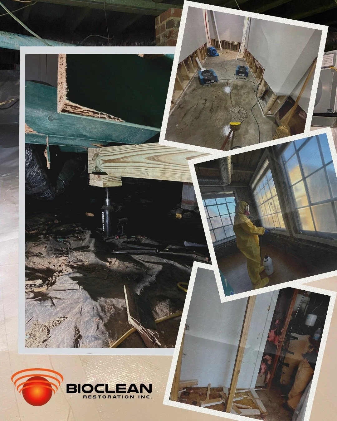 Scenes from some of our scary October jobs 👻

From hidden mold to unexpected water damage, we&rsquo;ve seen it all. If your home is giving you the creeps, our team is here to help. Visit bioclean-nc.com to schedule your cleanup today.