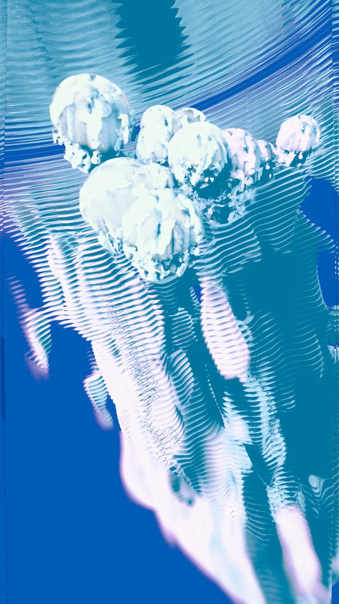 50425319922_65103939ad_k.jpg