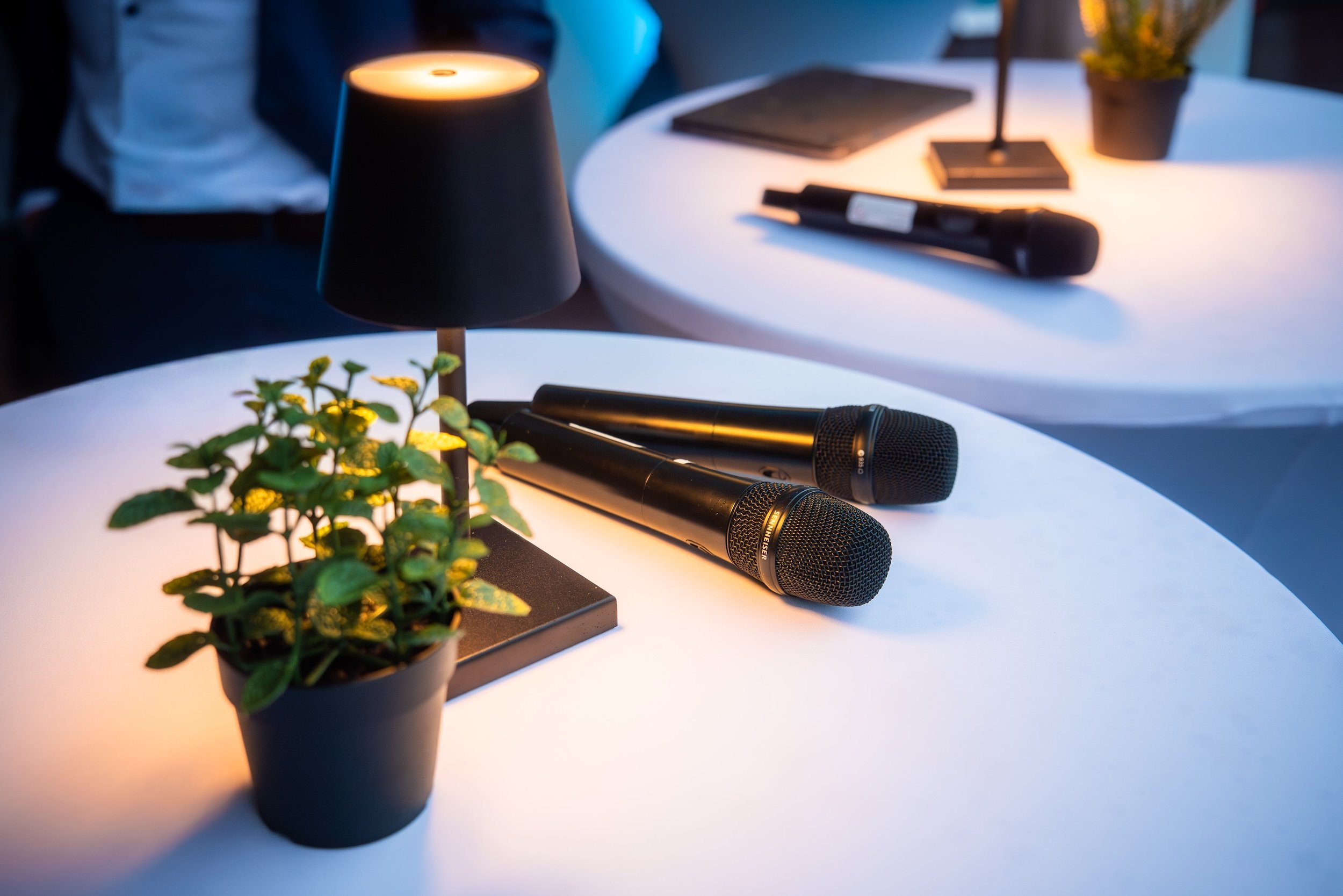 10 - 25-09-11 Sommerempfang Wirtschaftsgespräche-01551.jpg