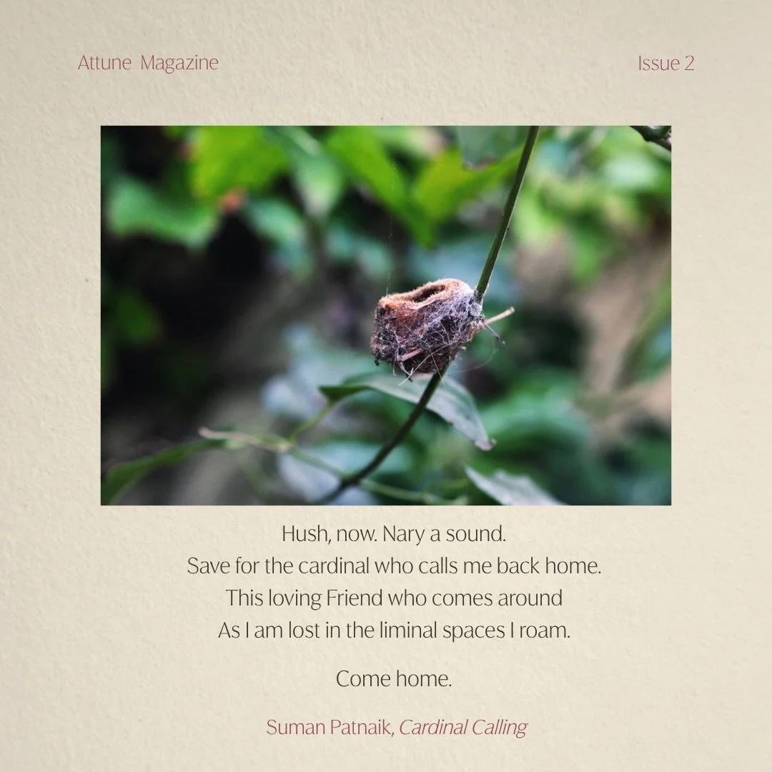 This is an excerpt from Suman Patnaik @craft.and.calling poem Cardinal Calling. Take her journey through liminal space in Issue 02. Link to order and subscribe in the bio
.
Photograph: @missevesavage 
.
#poetry #indiemagazine #printisnotdead #attunem