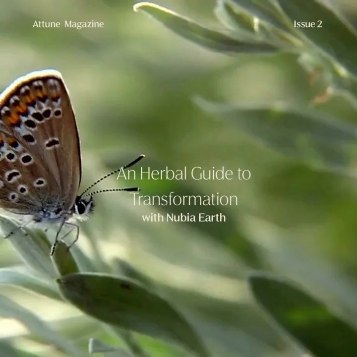 Issue 02 includes an herbal guide from Nubia Earth @birthfromtheearth, with herbs for third eye and throat chakra integration so we can see and name who we are and what we want for ourselves and our world. Blue Lotus, Tulsi, and Schisandra, each one 