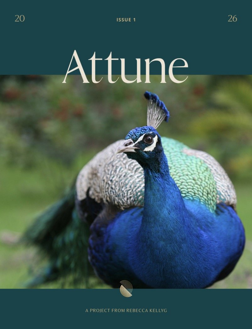 Attune Magazine Cover Issue 01