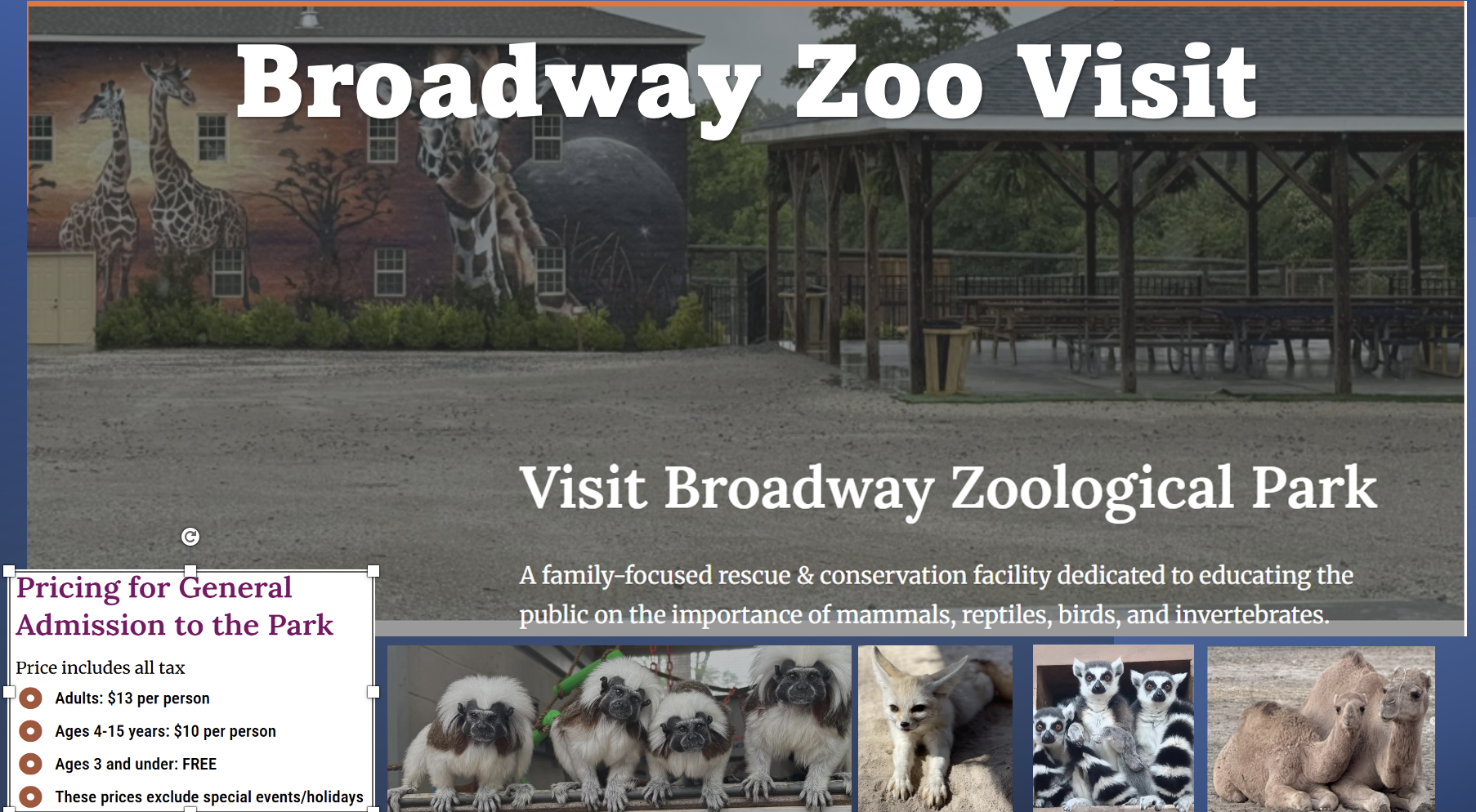Broadway Zoo Visit