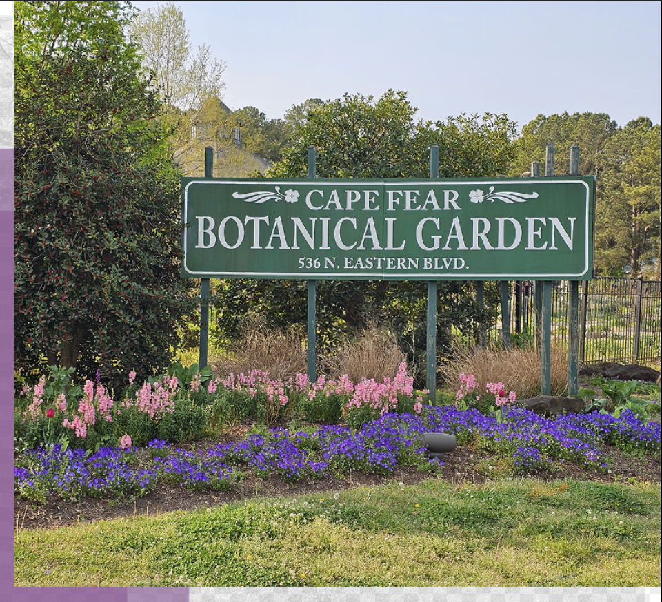 Picnic at the Botancal Gardens