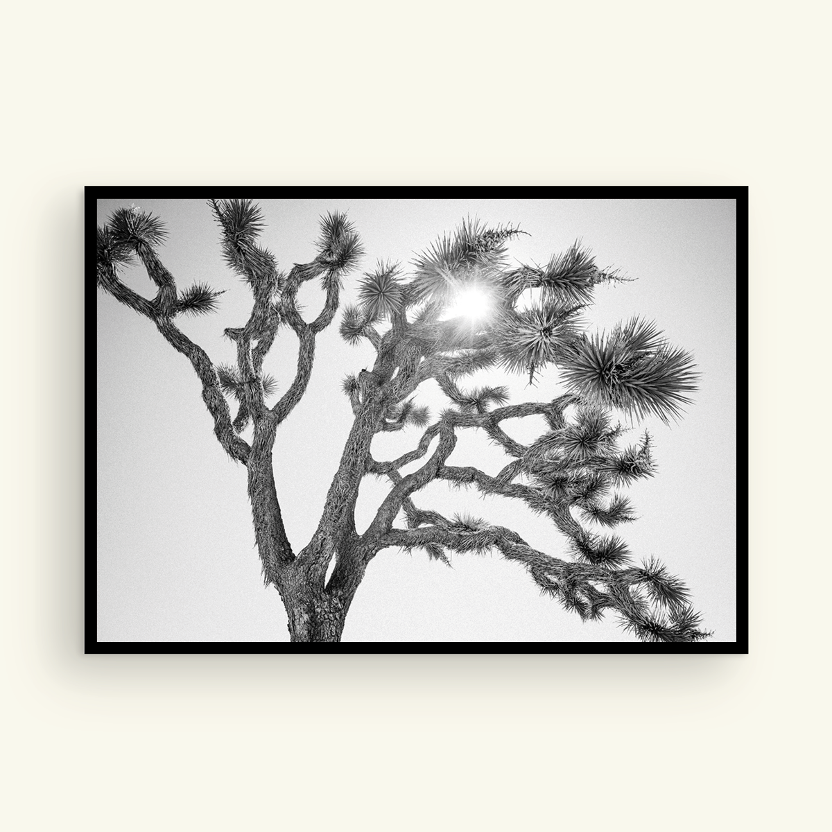 joshua_tree2020_ellis_12X85.png