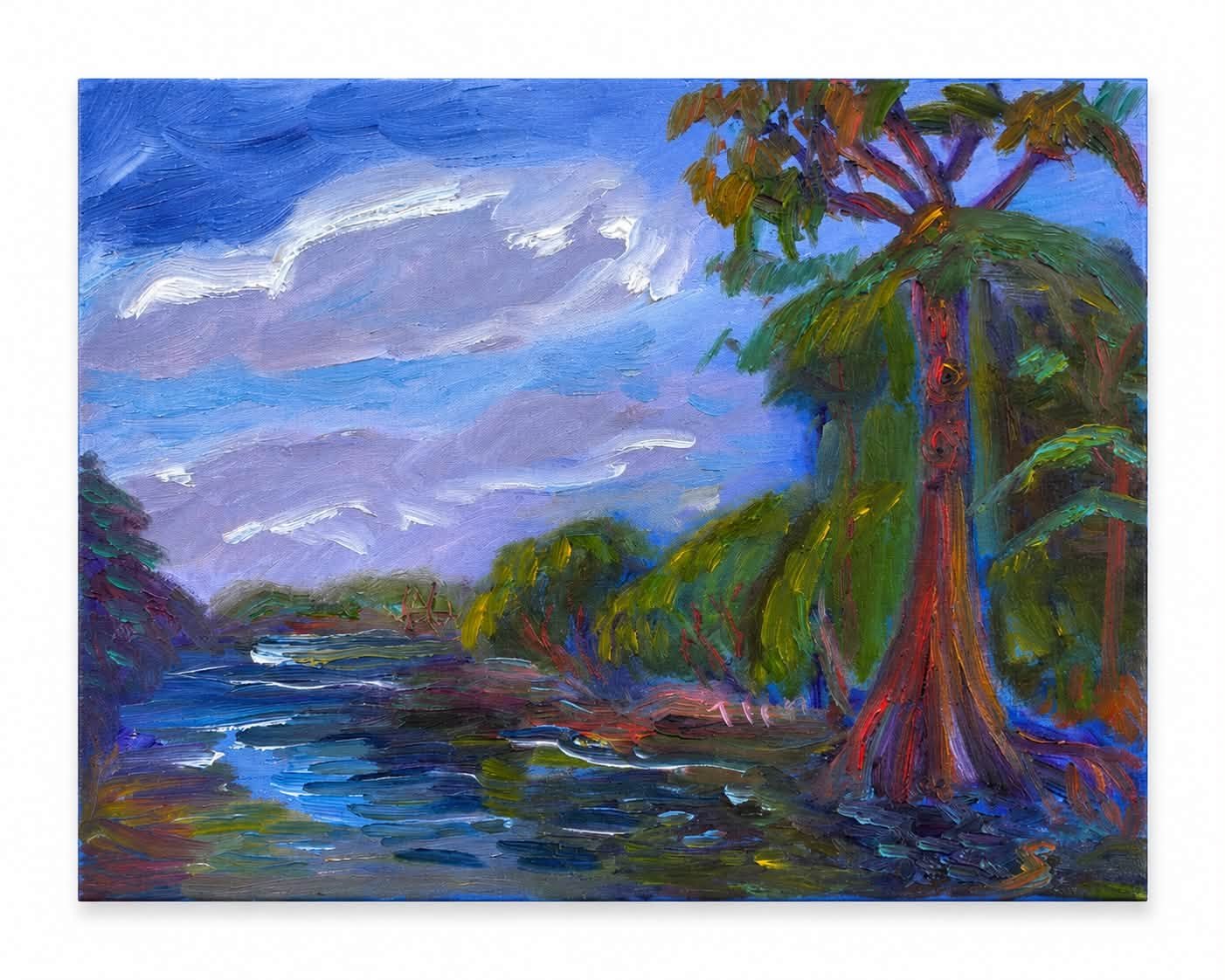 “Santa Fe River Cypress”
Oil on Canvas
$600