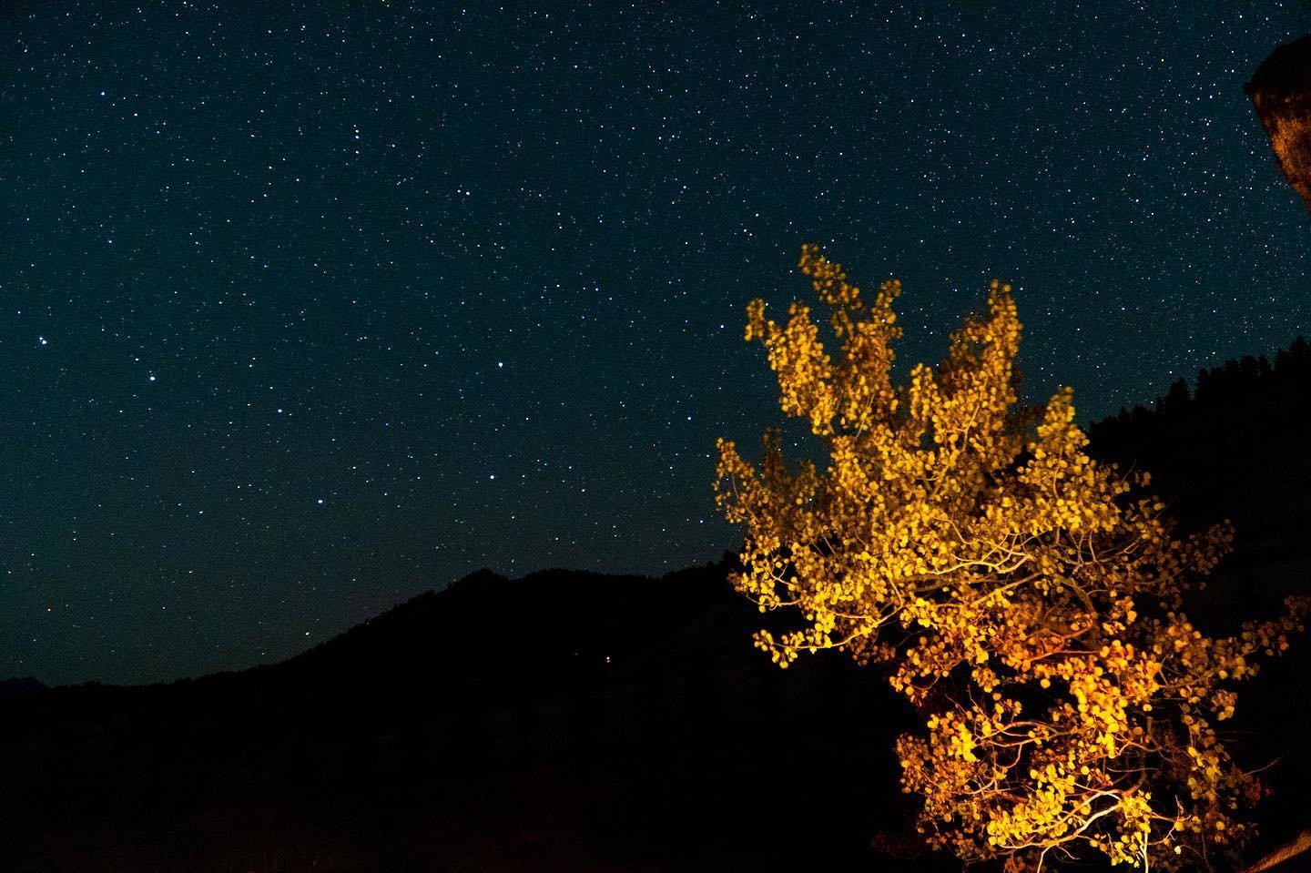 “Love the trees until there leaves fall off, then encourage them to try again next year.” -Char Sugg
.
.
.
.
.
.
#sonyalpha #sonya6600 #montana #bozemanmontana #landscapephotography #nightphotography #autumn #coloredleaves #stars #little
