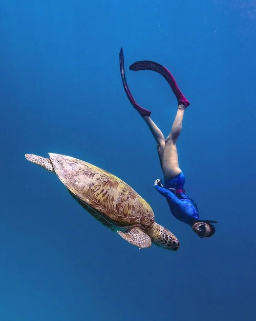 Eunoia Freediving gallery photo 4