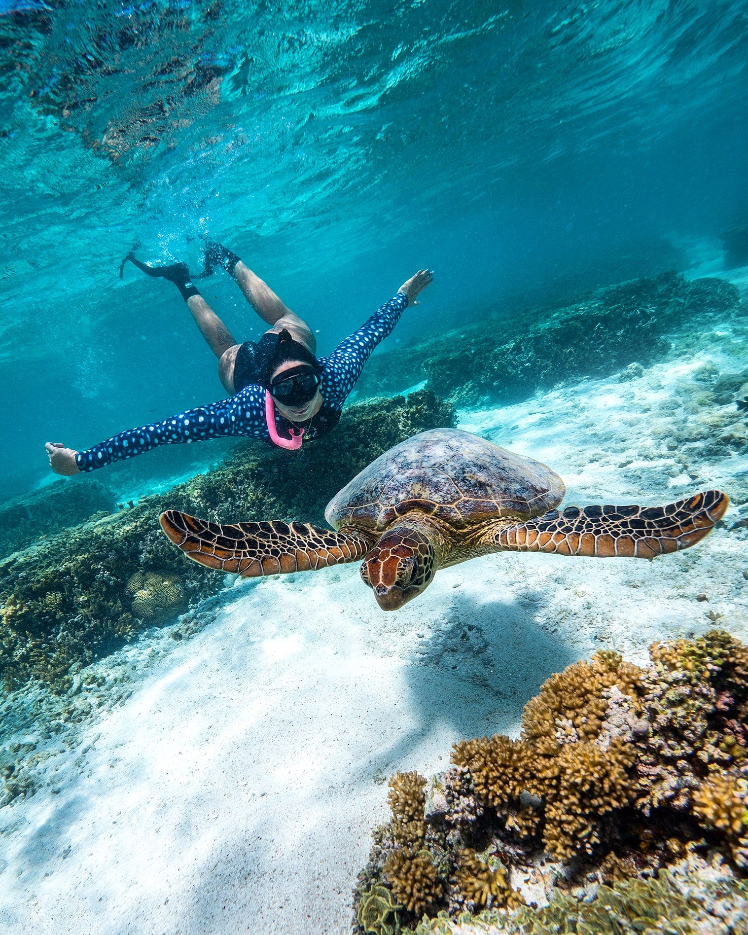 Experience Freediving