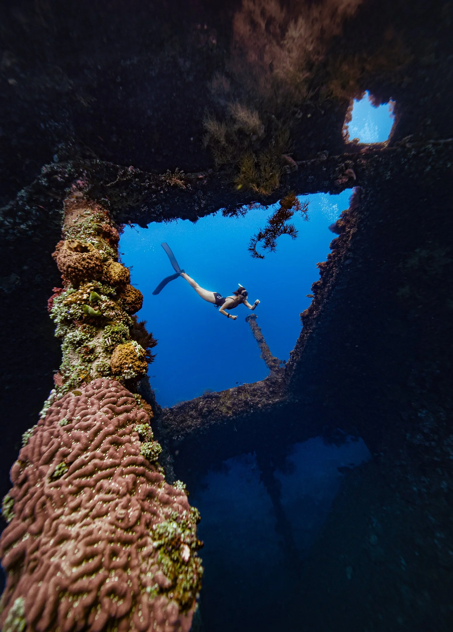 How a Freediving Course Improves Your Ocean Experiences
