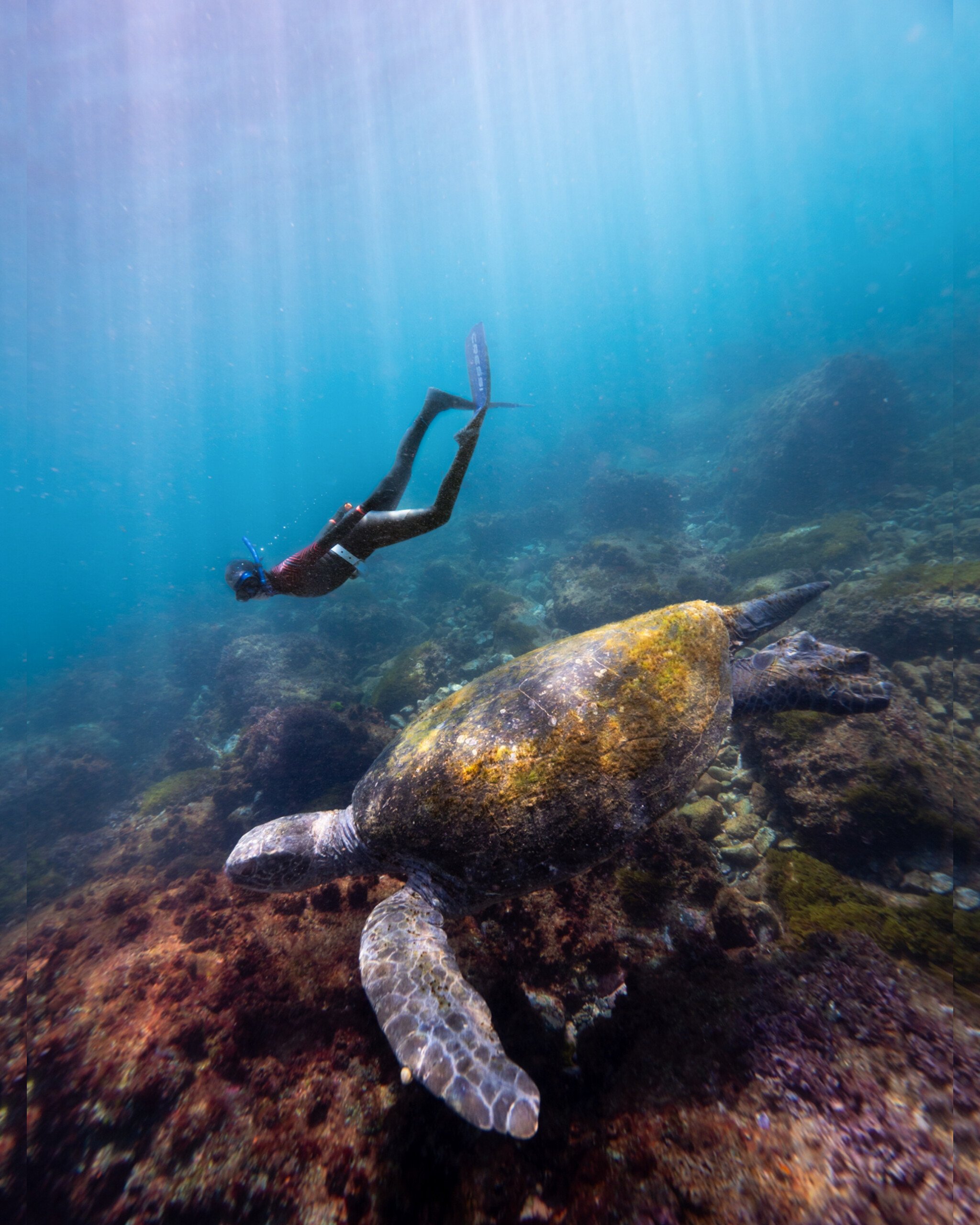 Eunoia.Freediving3.jpg