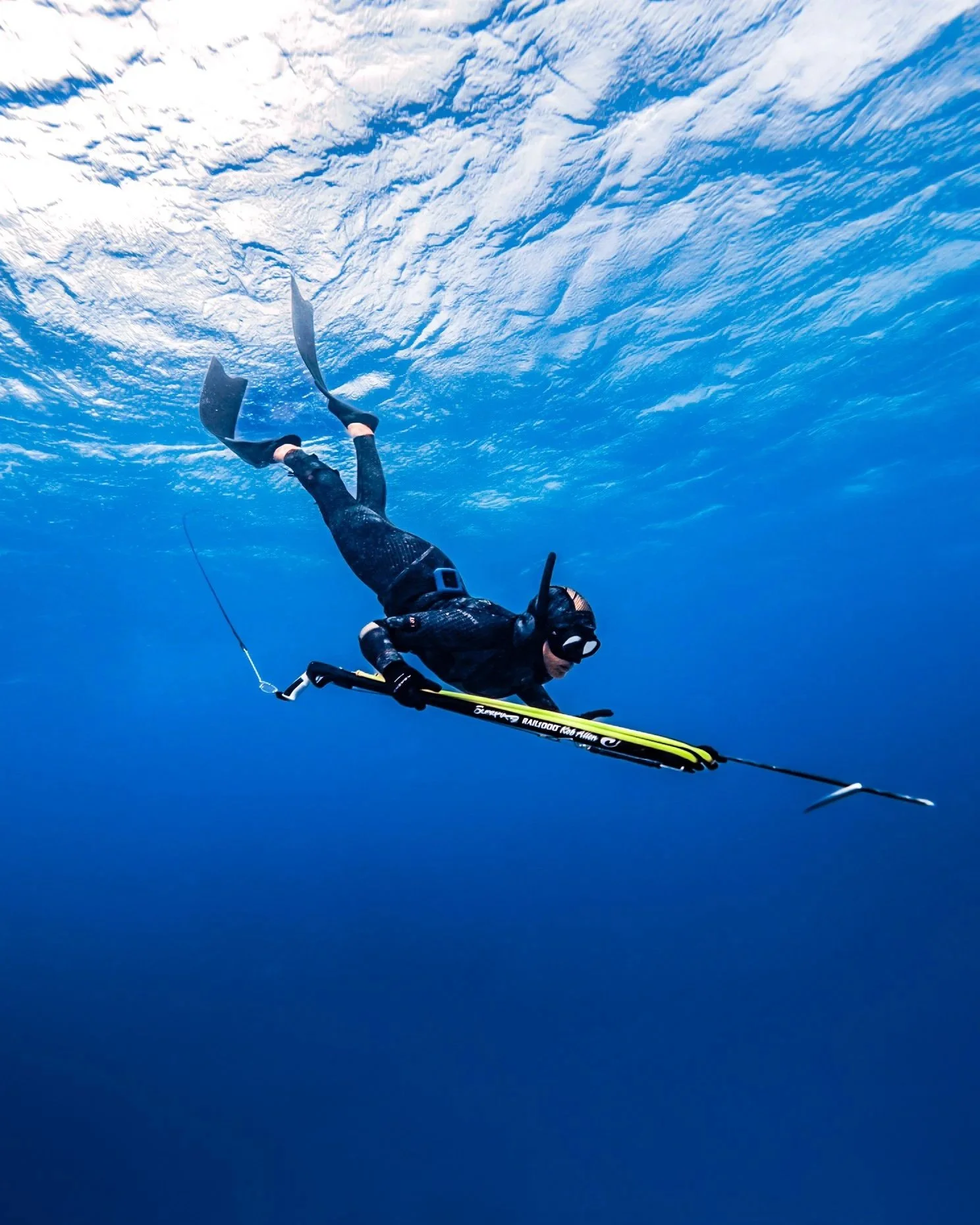 Spearfishing Course