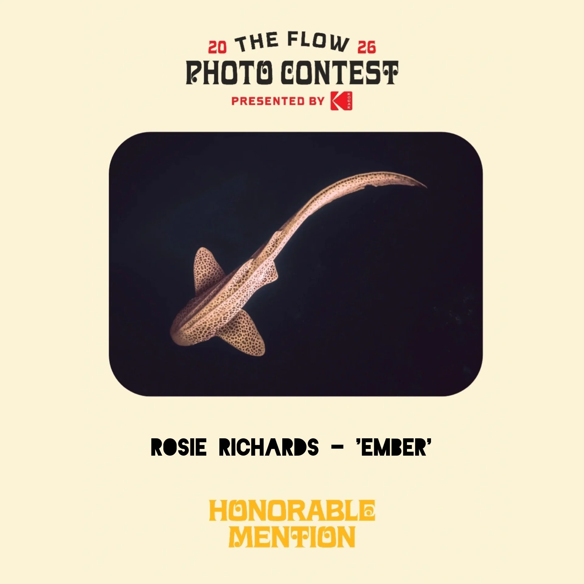 Flow.Trip.RR1.jpg