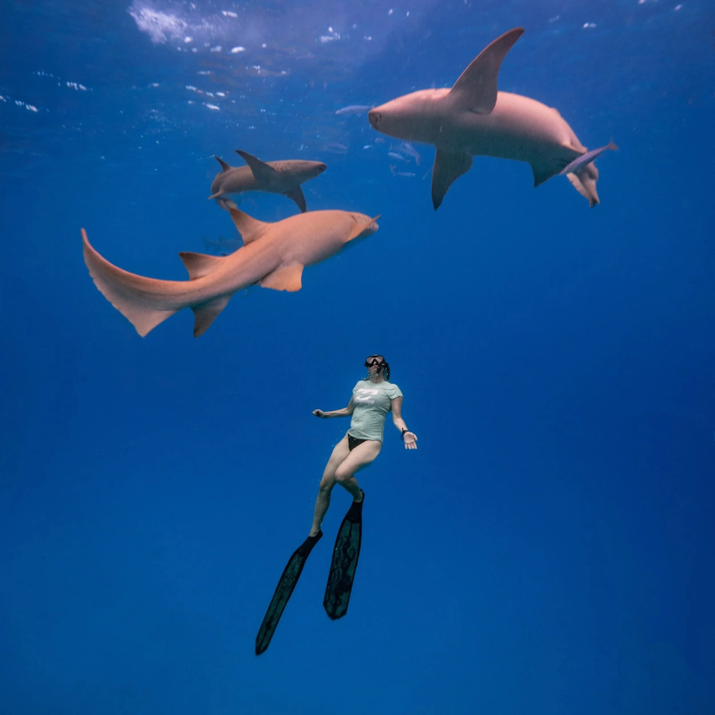 Freediving Trips