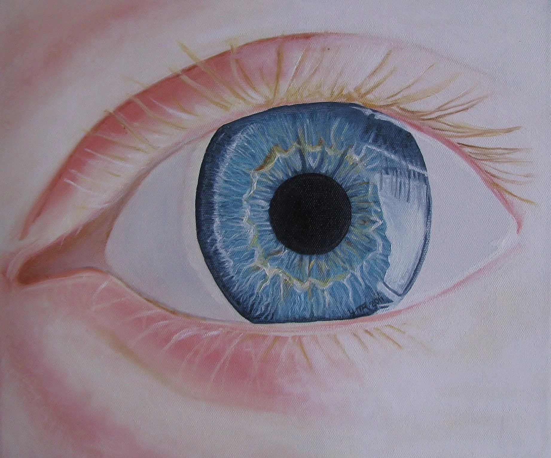 Dain's Eye 2011.JPG