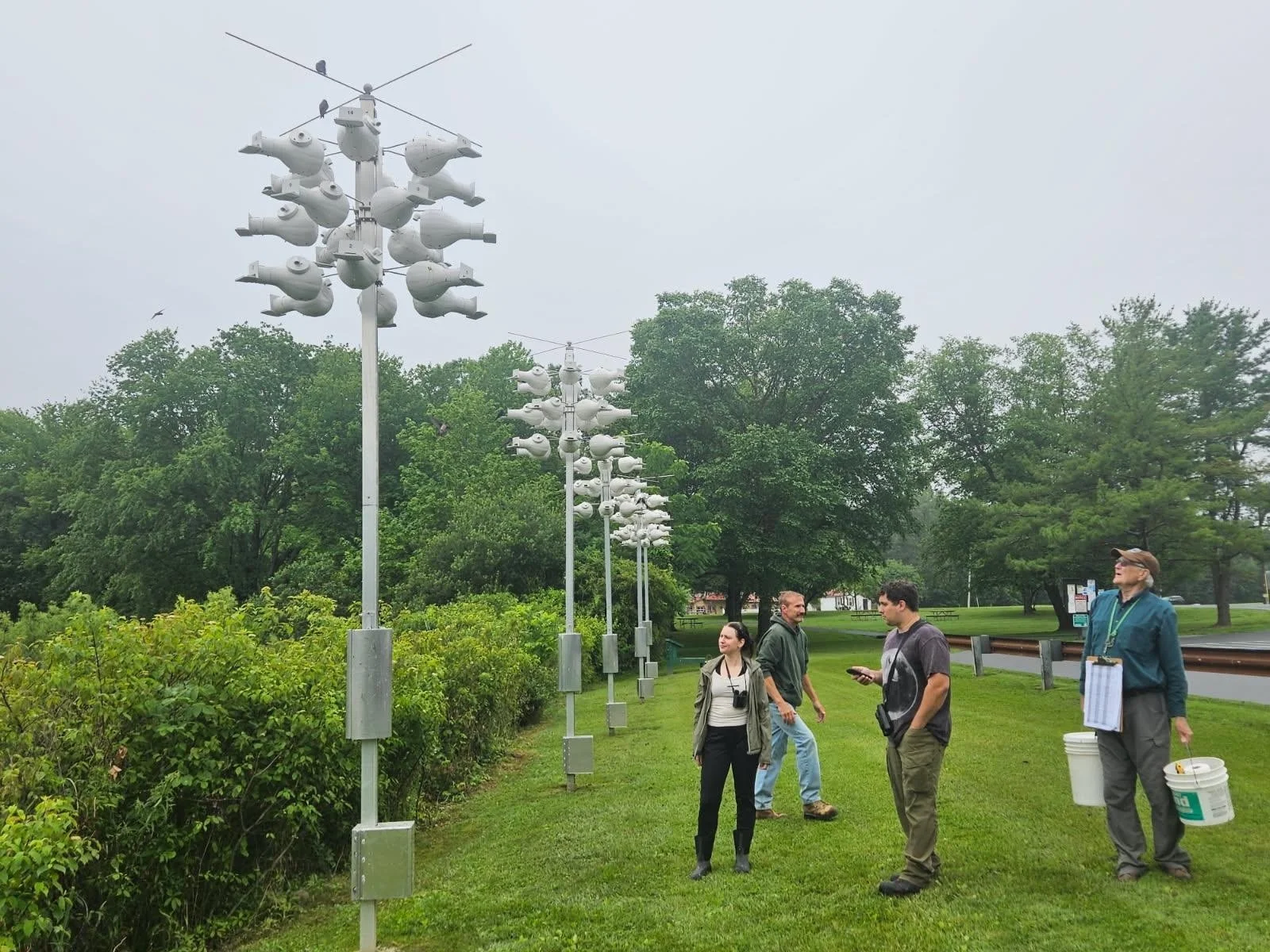 Monitoring purple martins with LVAS