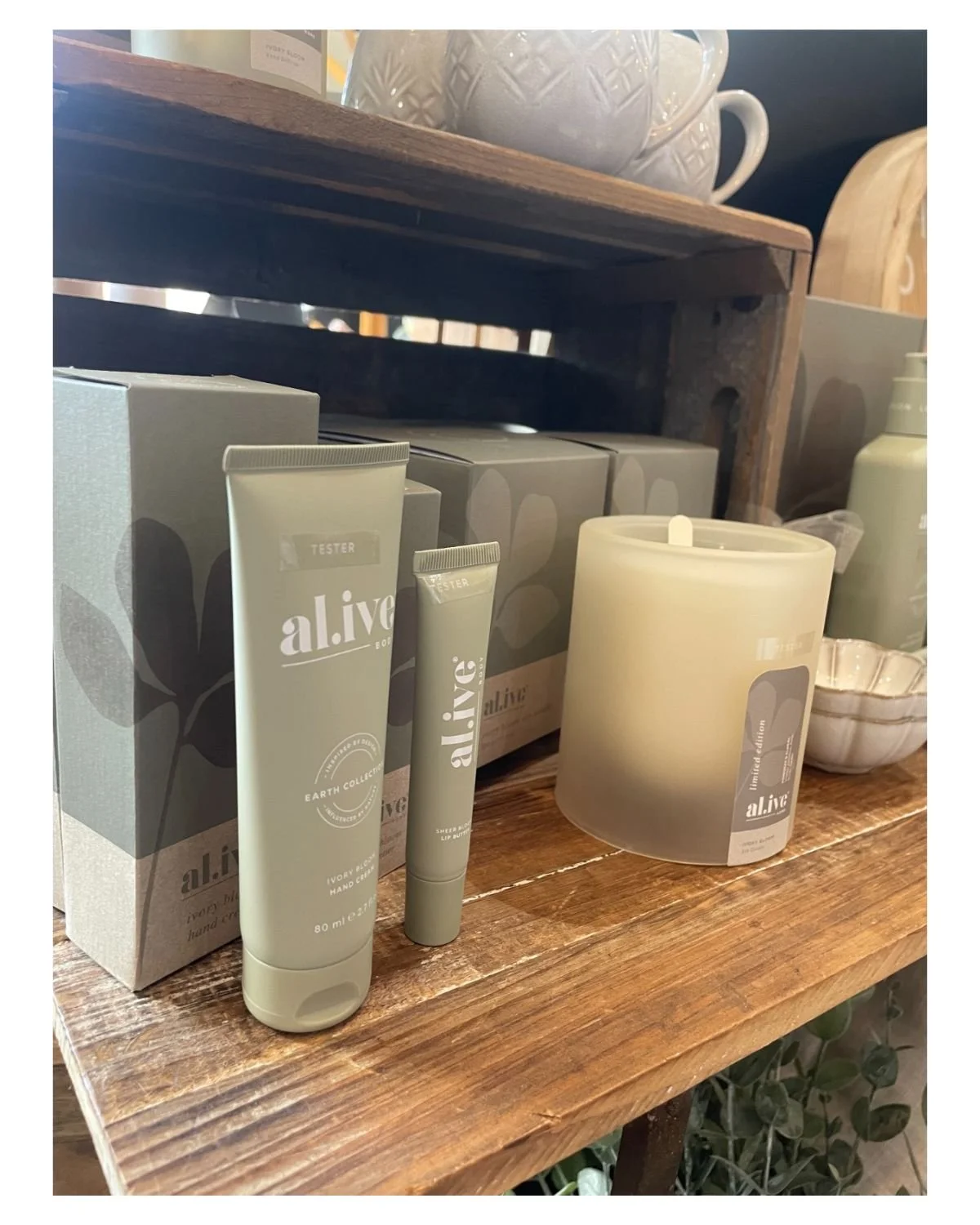 The Al.ive range is a treat for both you and your home. 

The Corner Life &amp; Style Store - 02 6736 1812

#tenterfield #thecornerlifeandstylestore #experiencetenterfield