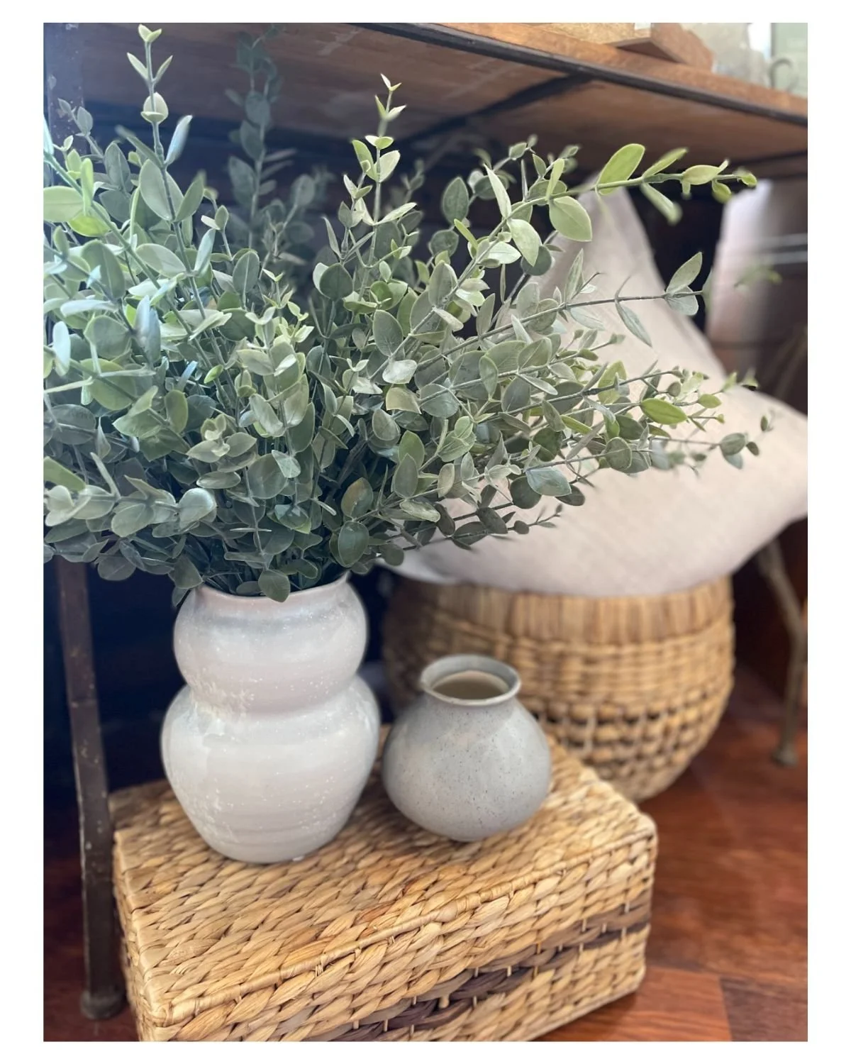 Forever foliage for your autumn and winter home. 

The Corner Life &amp; Style Store - 02 6736 1812

#tenterfield #thecornerlifeandstylestore #experiencetenterfield #tenterfieldshopping