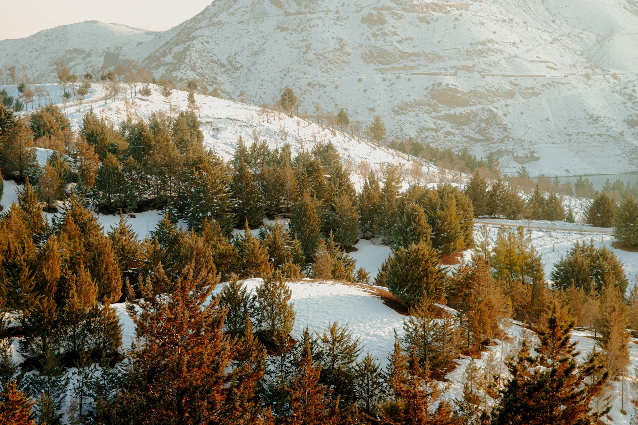 Y tú… ¿Sigues en Invierno?