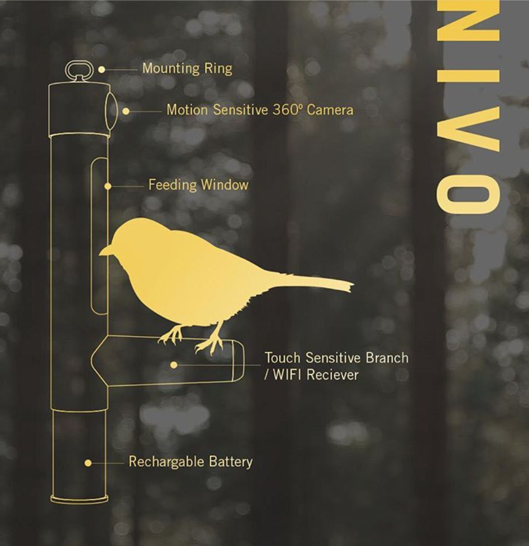 Live Action Bird Feeder