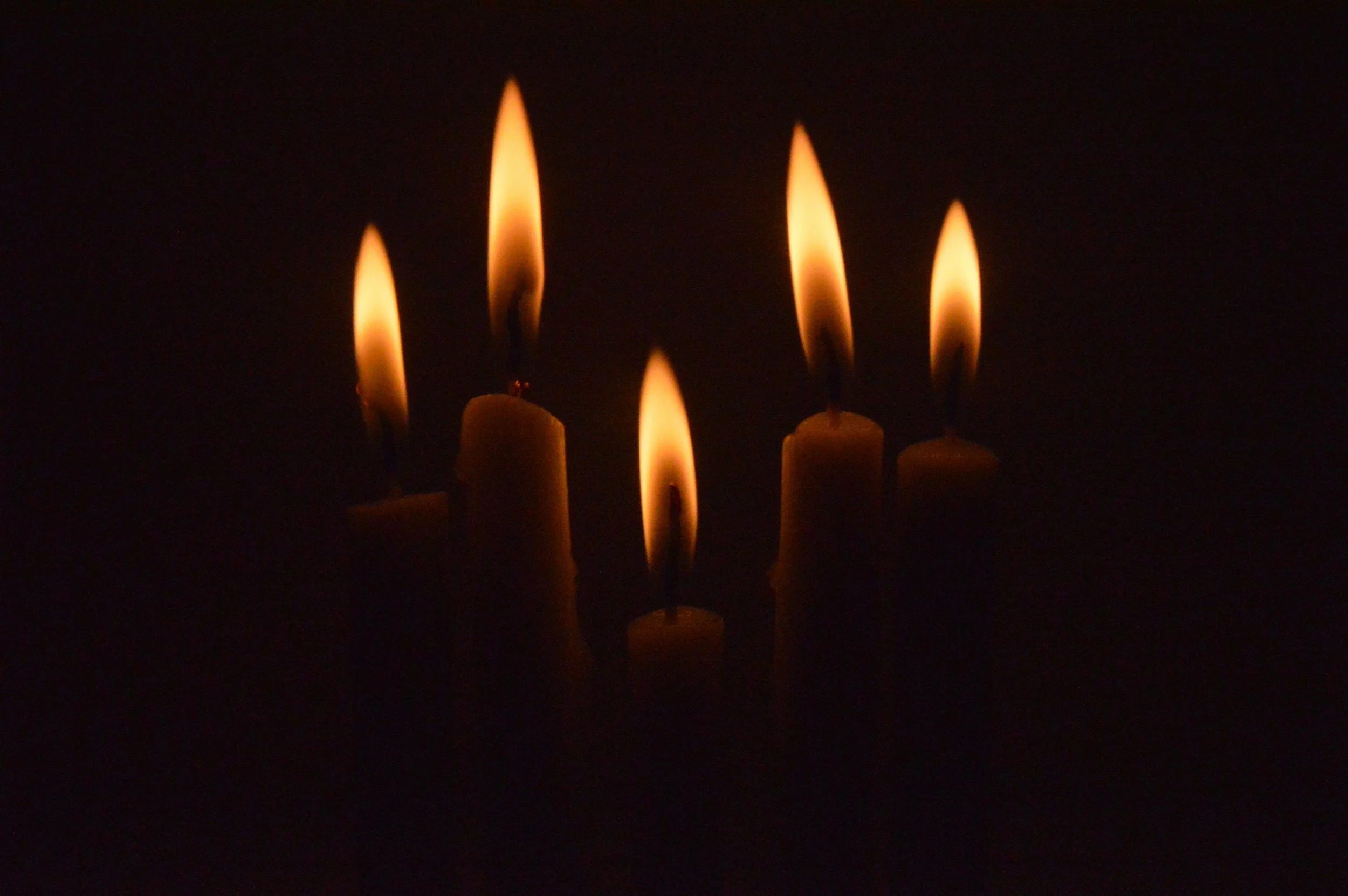 14 December 2025