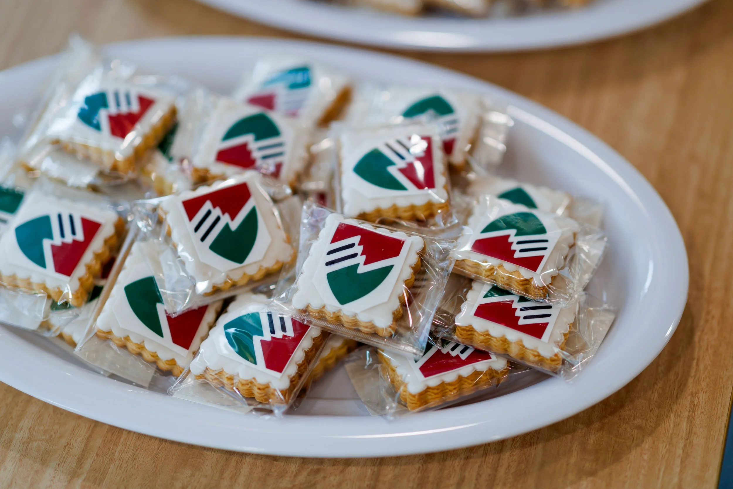 006 @GAZiPHOTO_MALAK FOUNDATION.jpeg