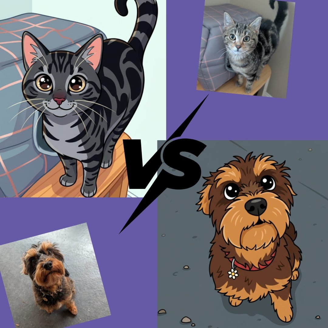 When you have two sisters vying for the Apprenctice position, how do you decide?!
Which one would you choose??

(and how good are the AI cartoon images?!)

#mobilelocksmith #catordog #bestjobever #locksmith #morningtonpeninsulalocksmith