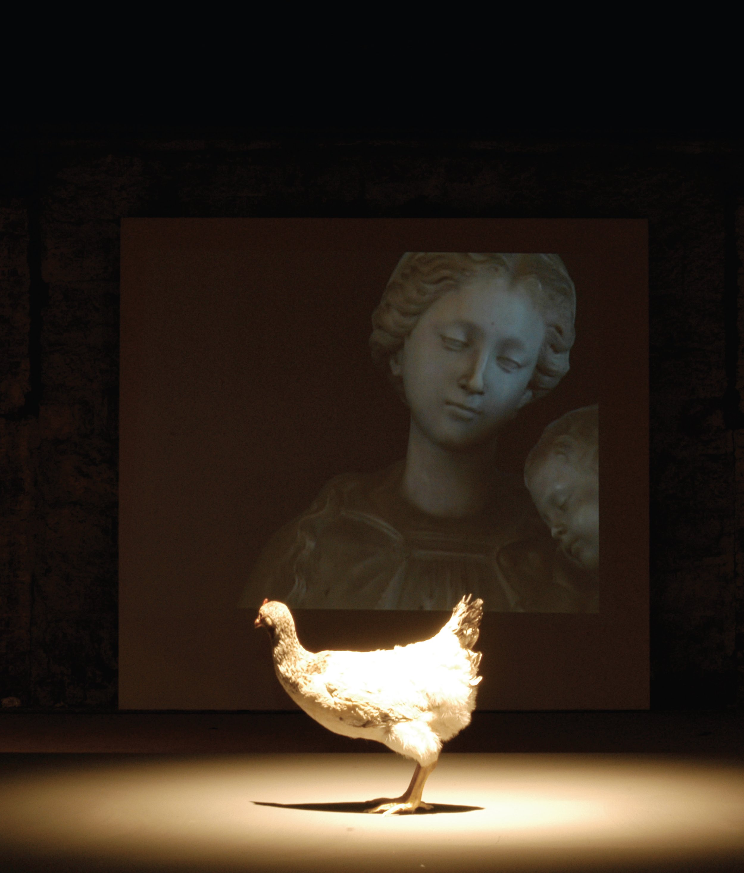 la gallina.jpg