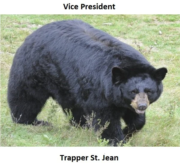 bear_v2.jpg