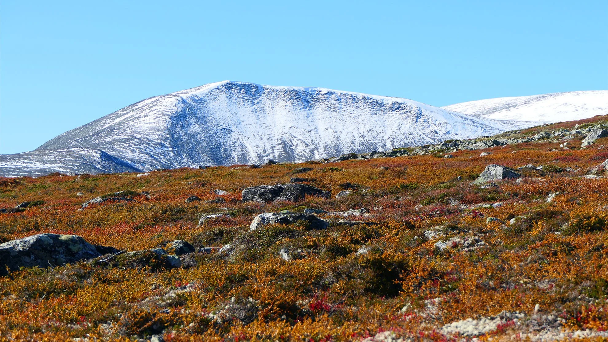 Rapport 19. september 2021