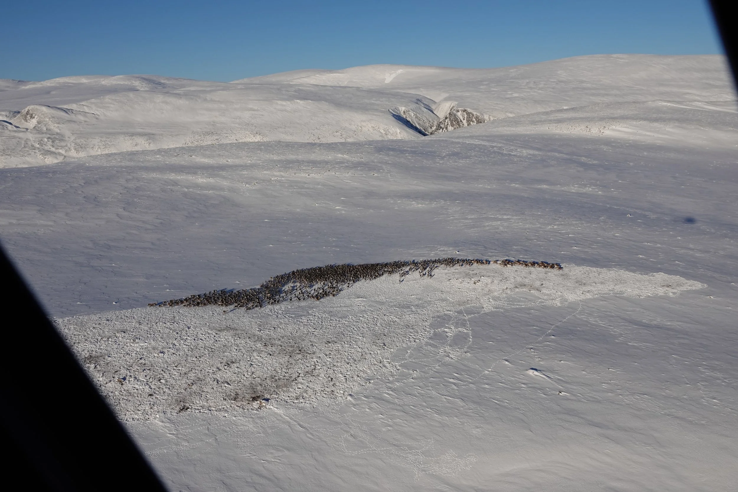 Minimumstelling 2023